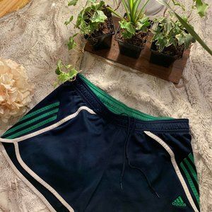 Adidas Blue and Green Shorts